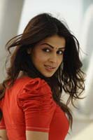 Genelia DSouza Pictures